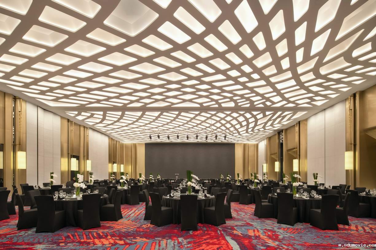 成都瑯珀●凯悦臻选酒店_四川成都国际商务酒店设计案例-星空彩票在线登录网站