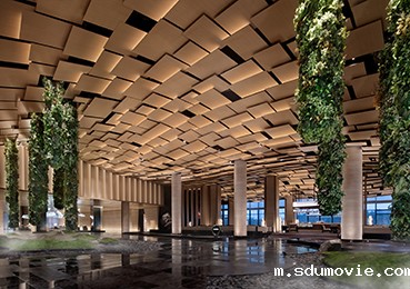 杨邦胜：牛首山希尔顿酒店荣获12项国际大奖 揭秘文化个性酒店设计之道